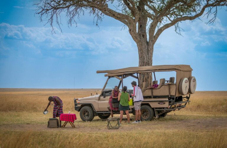 6-Day Mid-Range Migration Safari  Full Circuit