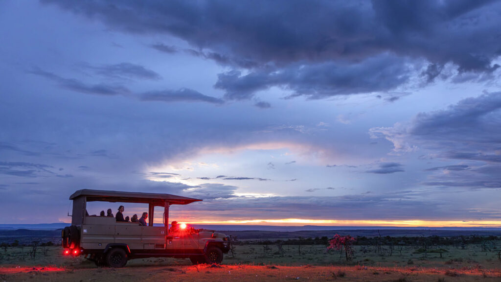 Night Game Drive Experience