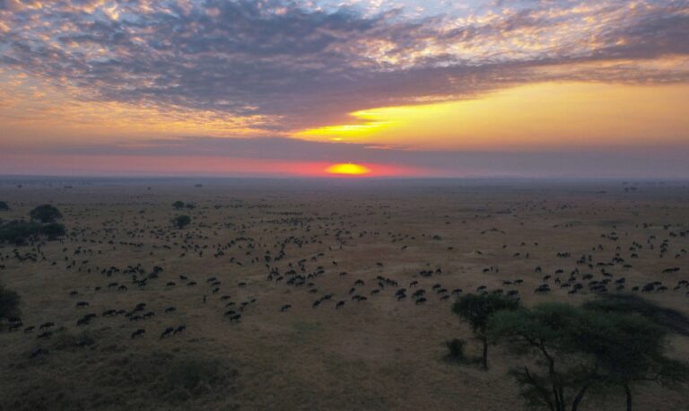 Ndutu Area Tanzania