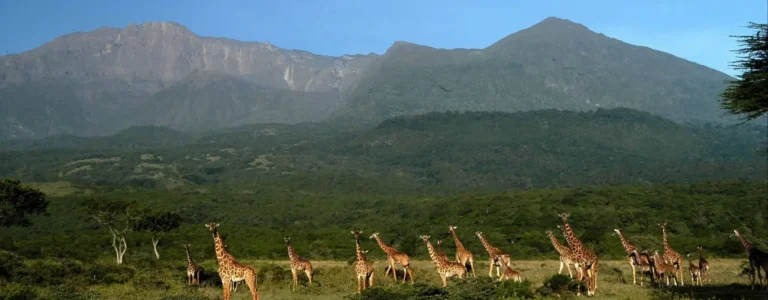 Arusha NP Tanzania