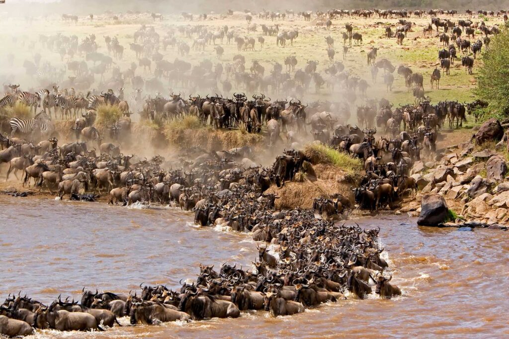 4-Day Serengeti & Ngorongoro Mid-Range Safari