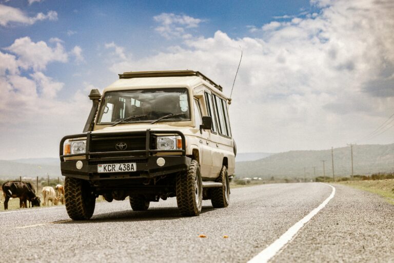 12-Day Mid-Range Grand Tanzania Northern Circuit