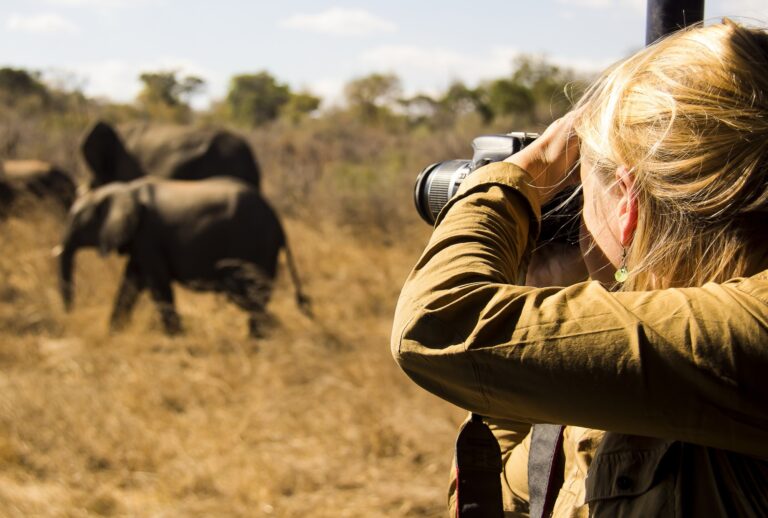 4-Day Mid-Range Serengeti & Ngorongoro Classic